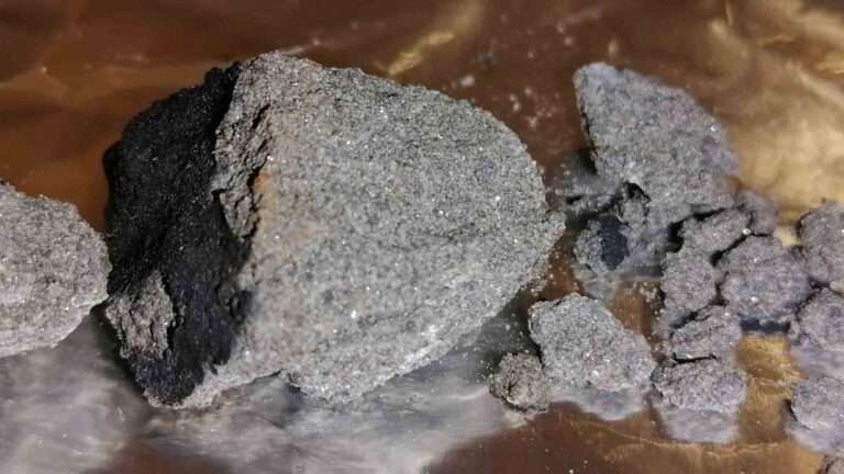 Read more about the article Astronomers Hail Priceless Find Of Uncontaminated Meteorite That Landed On Balcony