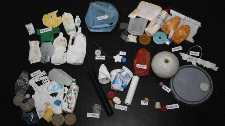 Read more about the article One Third Of Plastic Debris That Reaches Arctic Comes From Outside, Says Study