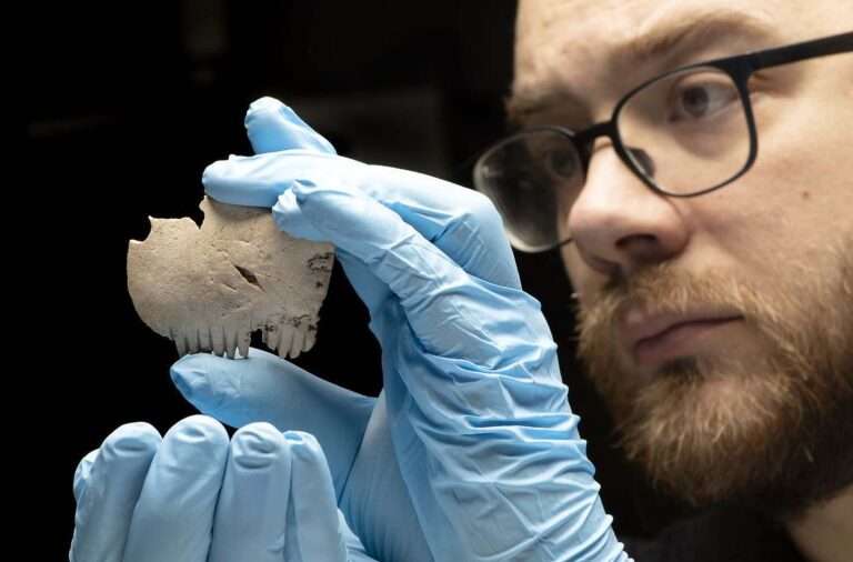 Read more about the article Comb Made From Ancient Human Skull Unearthed