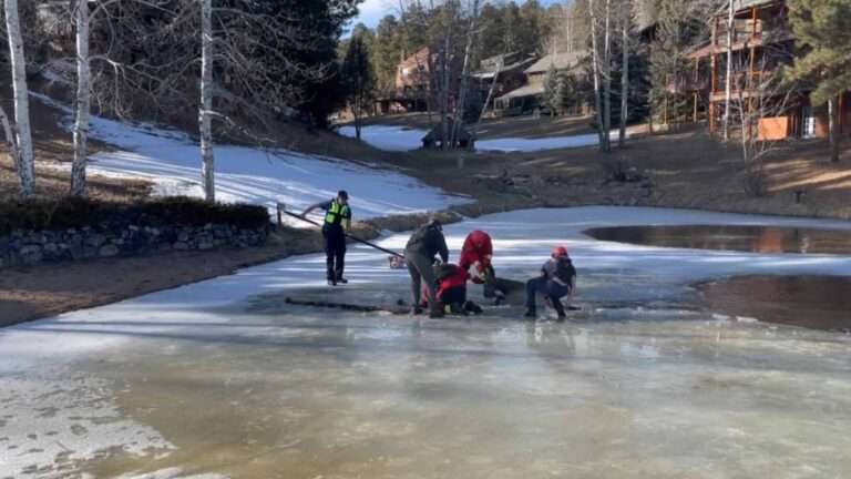 Read more about the article Firefighters Rescue Elk That Fell Into Frozen Pond