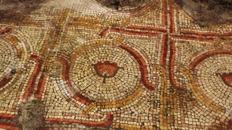 Read more about the article Stunning Floral Mosaic Up To 1,500 Years Old Uncovered In Israel