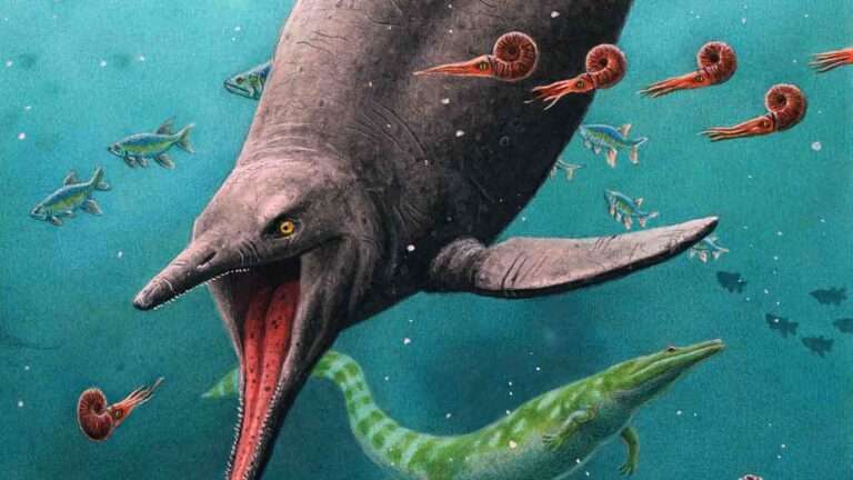 Read more about the article Oldest Sea Reptile Found On Arctic Island Mountain