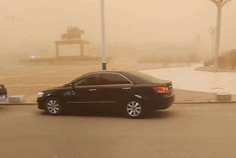 Read more about the article Huge Sandstorm Sweeps Through Mongolia