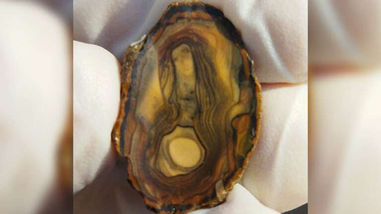 Read more about the article Stone Found With Likeness Of Virgin Mary