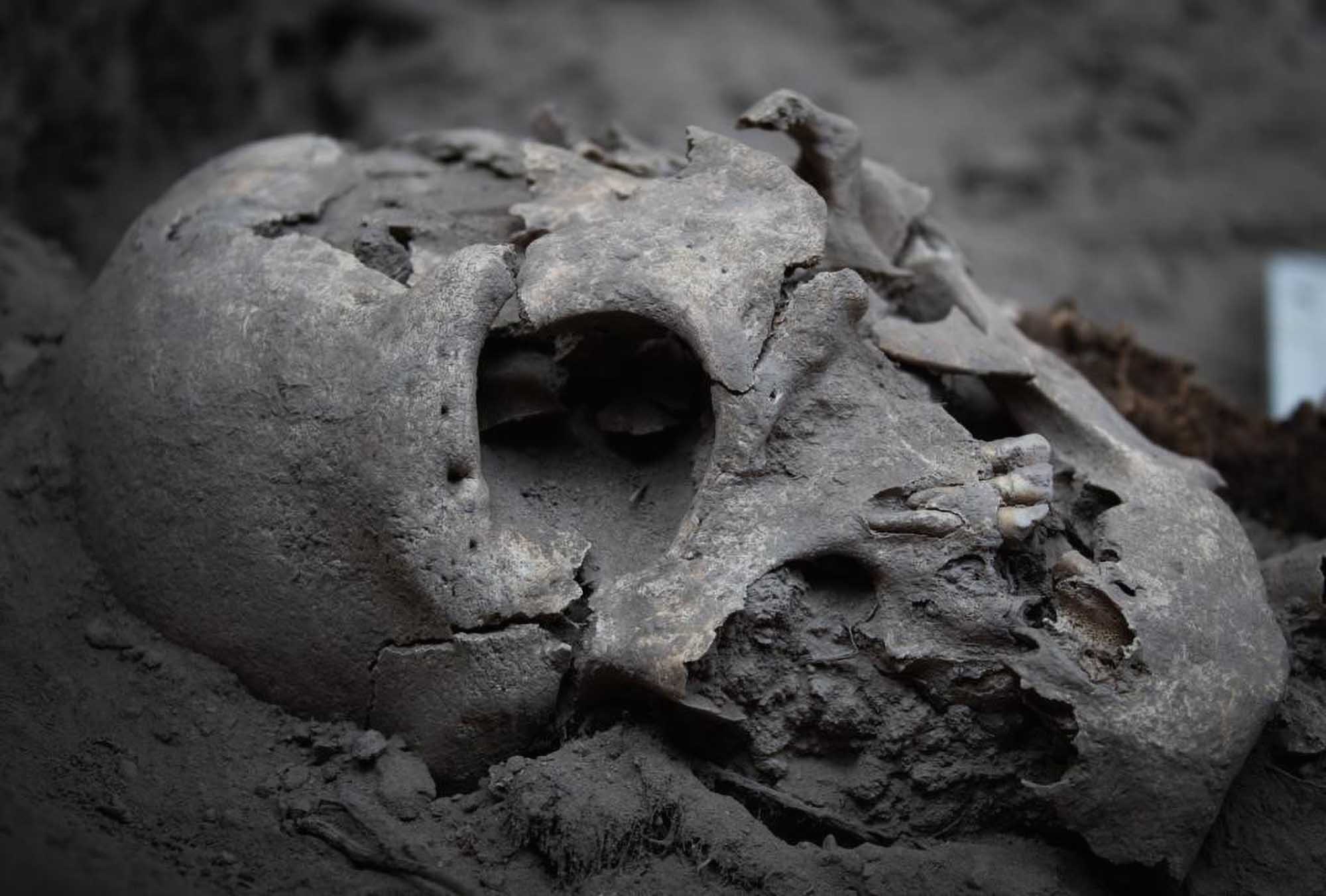 Archaeologists Find Skeleton Of Pre-Columbian Indigenous Hunter-Gatherer
