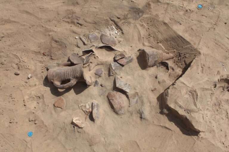 Read more about the article Incredible Roman Amphorae Unearthed At Archaeological Site In Egypt