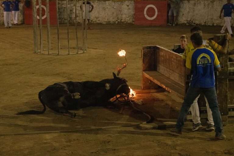 Read more about the article Bull With Flaming Horns Collapses In Heap After Colliding With Obstacle At Cruel Spanish Fiesta