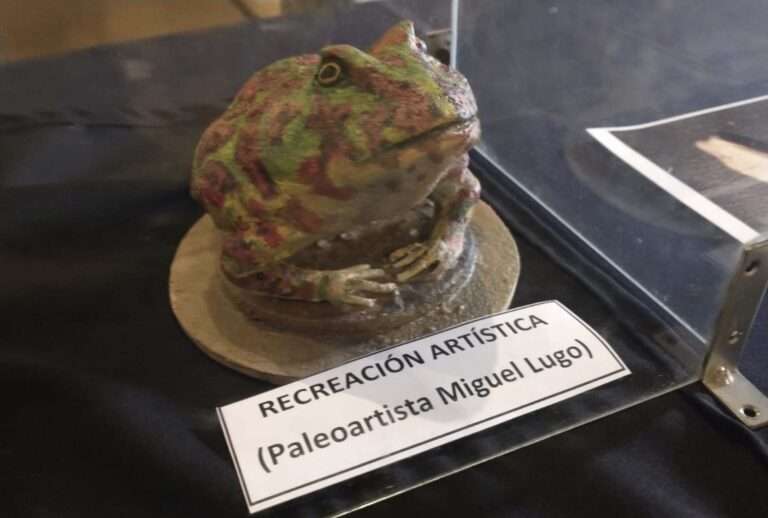 Read more about the article Scientists Unearth Ancient New Frog Fossil