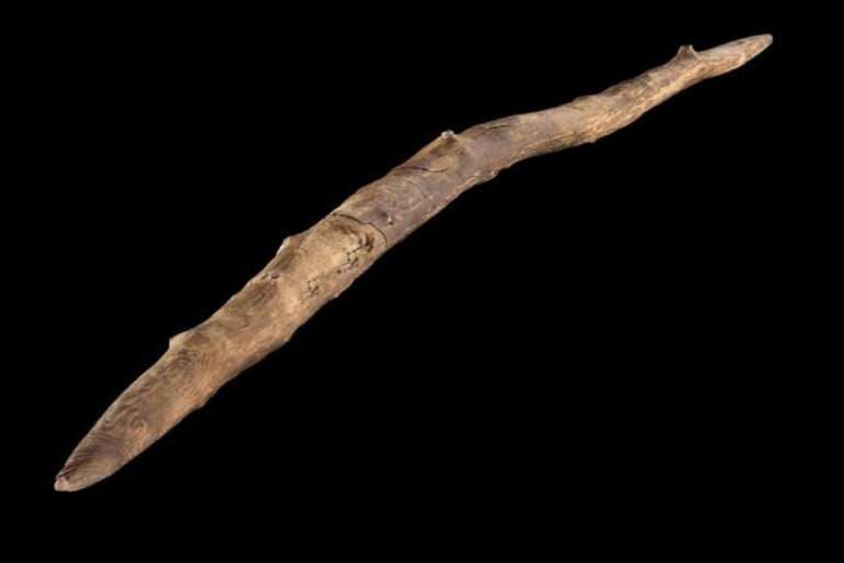 Read more about the article 300,000-Year-Old Boomerang-Like Stick is One of the Oldest Human-Made Wooden Tools