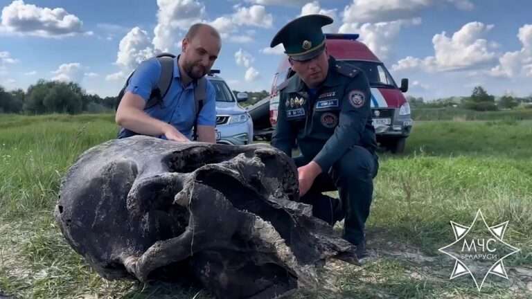 Read more about the article Ancient Animal Pulled From Belarusian River