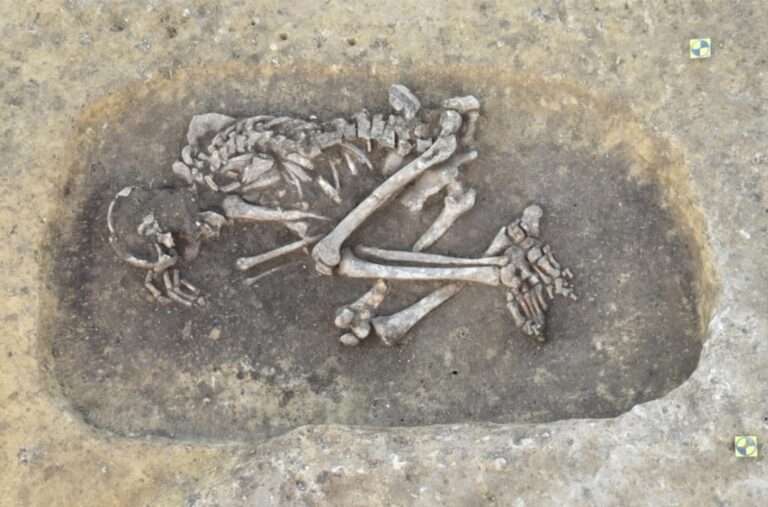 Read more about the article 4,000 Year Old Corpses Were Victims Of Black Death