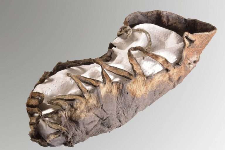 Read more about the article Perfetly Preserved 2,000-Year-Old Child’s Shoe Found At Ancient Mine