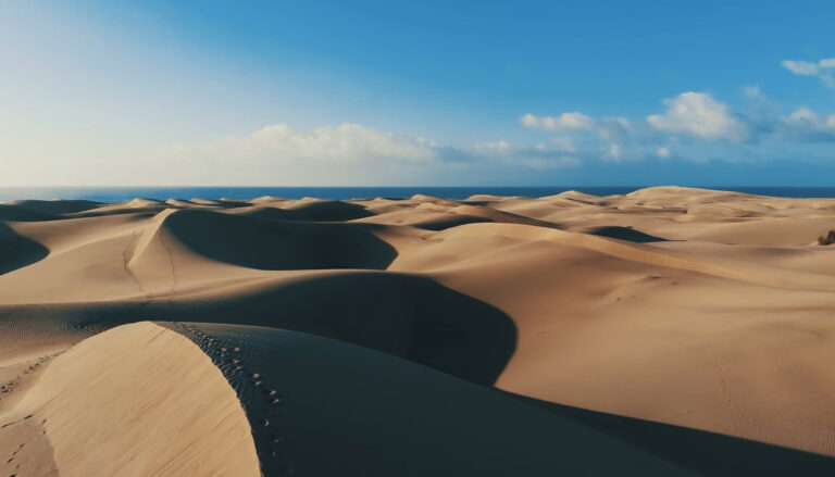 Read more about the article Iconic Spanish Sand Dunes May Vanish Due To Selfie-ish Tourists