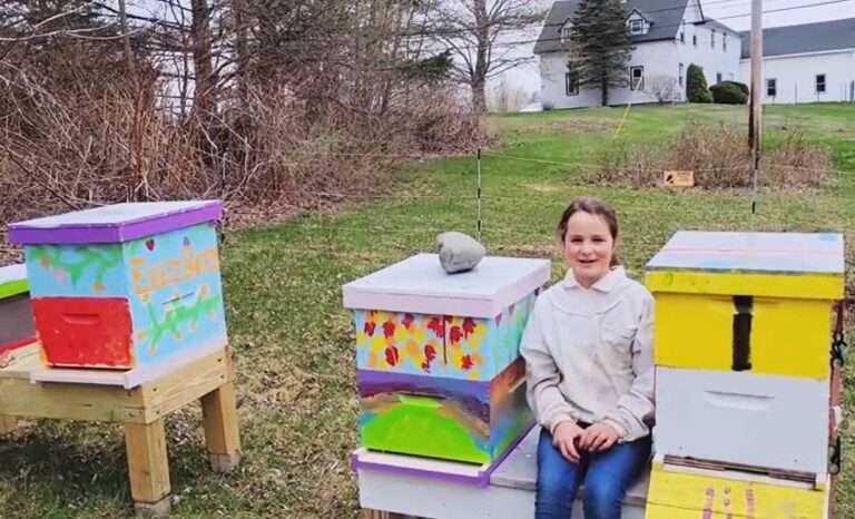 Read more about the article Schoolgirl Beekeeper, 11, Who Started Age 8, Wants To Be Queen Bee Among Apiarists