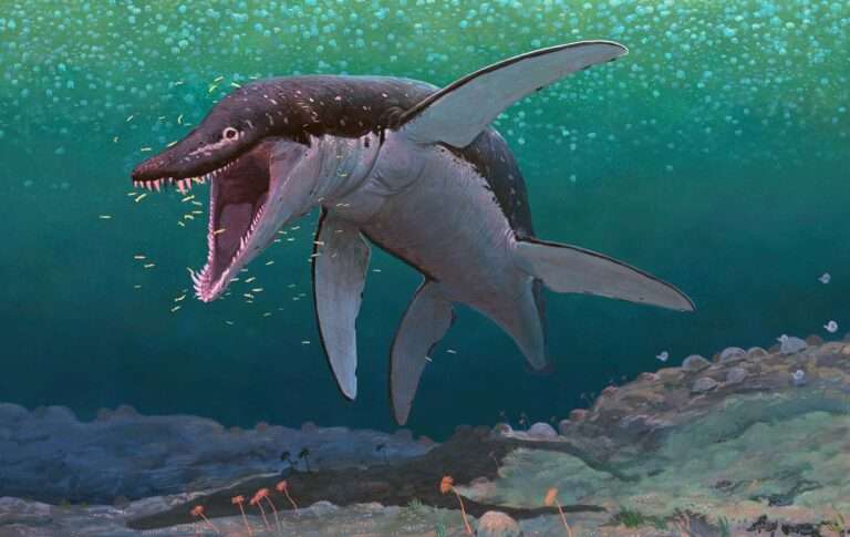Marine Reptile That Lived 170 Million Years Ago Identified As Oldest-Known Mega-Predatory Pliosaur