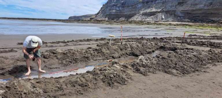 Read more about the article Archaeologists Uncover Stunning Fossil Footprint Of Giant Bird That Roamed Atlantic Coast Eight Million Years Ago