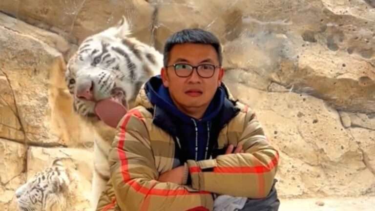 Read more about the article Tiger Tries To Lick Squatting Man Despite Glass Barrier