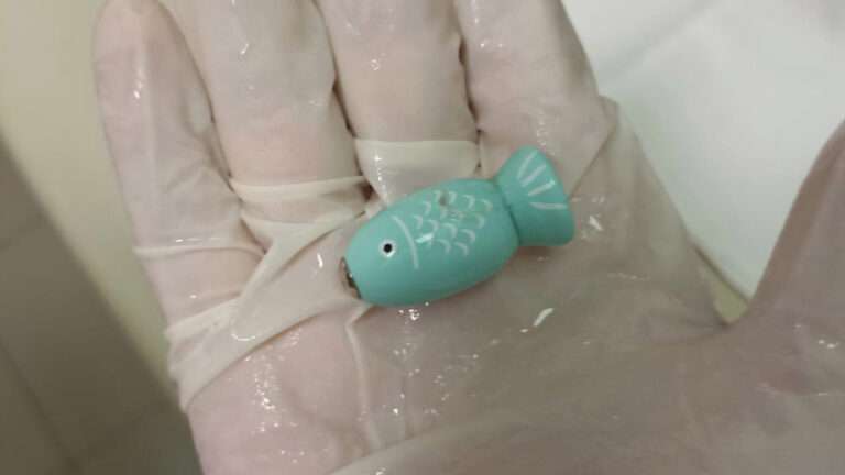 Read more about the article Doctors Remove Magnetic Fish From Stomach Of Boy, 4