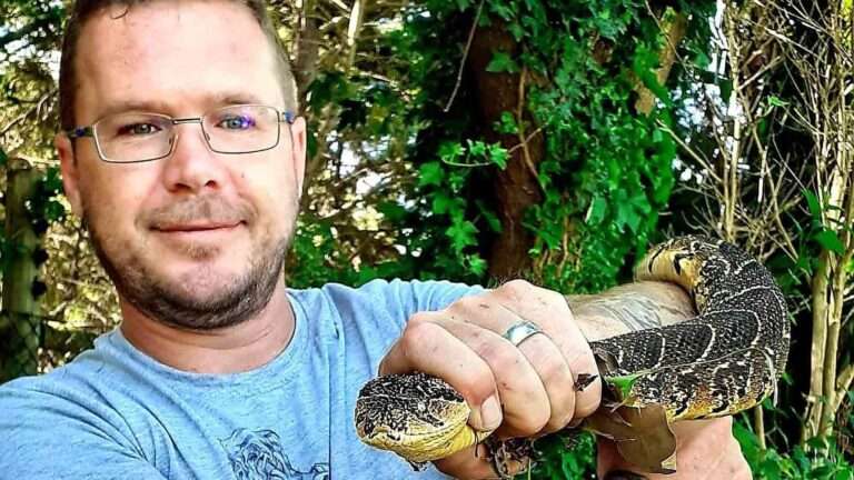 Read more about the article Legendary Snake Handler Dies From Agonising Bite