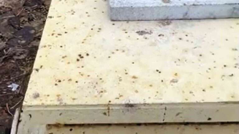 Read more about the article Couple Sue Beekepers Over Pollen Poop Covering Their Home