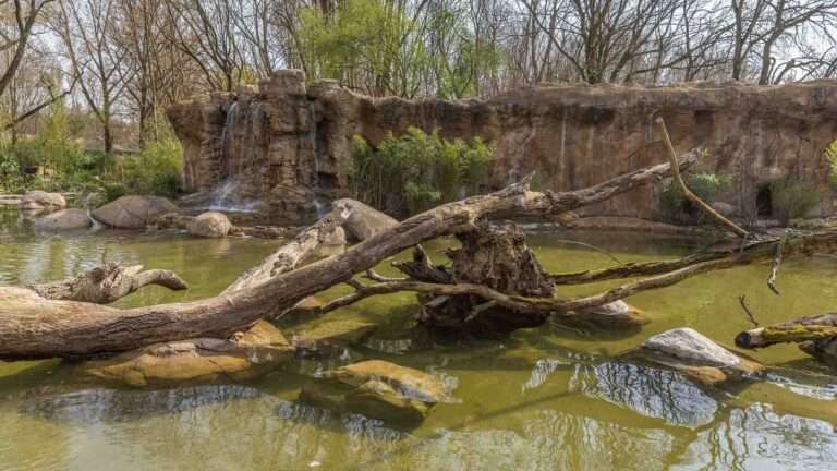Read more about the article Otters And Monkeys Enjoy New GBP 1.2 Million Enclosure At Berlin Zoo