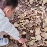 Mushroom-Hunting Child Finds A Live Snake Instead