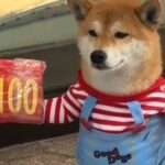 Clothing Store Owner ‘Employs’ Shiba Inu Dog As Greeter, Says It Earns GBP-300 Monthly Salary