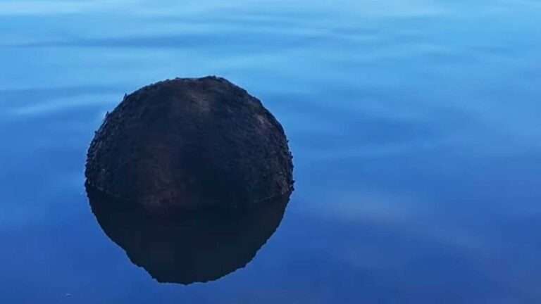 Shipping Alert On Danube Delta After French WWI Mine Spotted Floating In River