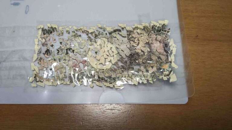 Read more about the article Japanese Teenager Puts Back Together Shredded Banknote