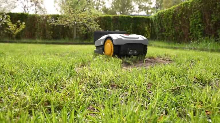 Read more about the article Robo Lawn Mower Slices Baby’s Foot