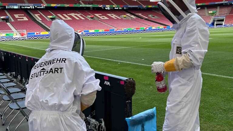 Read more about the article Swarm Of Honey Bees Invade EURO 2024 Pitchside Ad