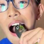 Parrot Pal Helps Remove Scared Boy’s Loose Tooth