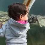 Kids’ Close Encounter With Giant Crocodile